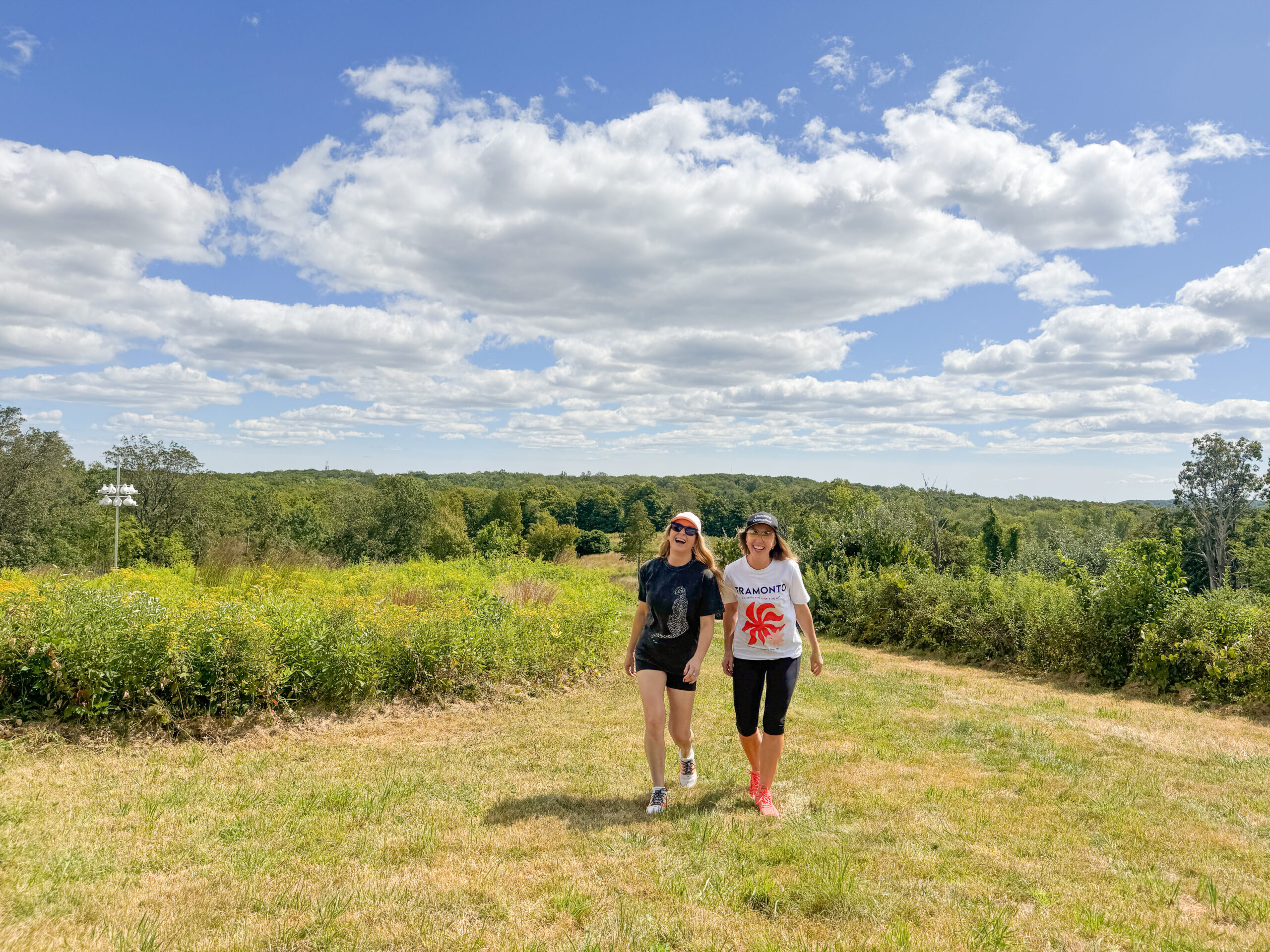 Unlocking Newtown - Unlocking Connecticut